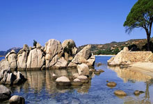 爱游戏-勒沃库森横扫日本，苏亚雷斯扛起全队