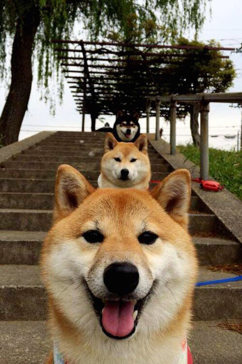 无名的斗士,唯一的英雄,加克波如何扛起一支沉睡的巨人