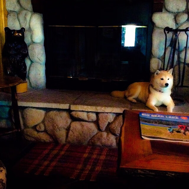 双重接管,从印第安纳的战术囚笼到巴林赛道的绝对领域