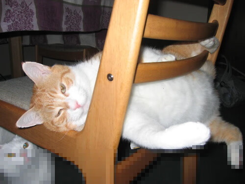 冰与火的交锋，F1揭幕战的极速暗流与芬兰爆冷尤文的赛场隐喻