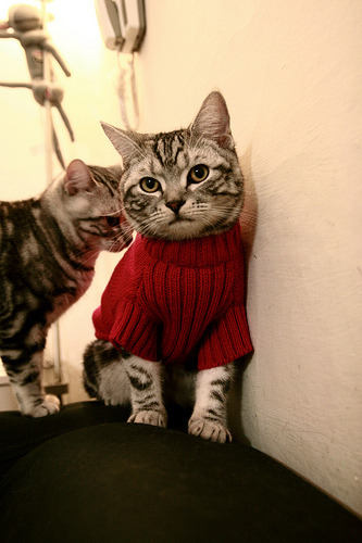 爱游戏官网-生死1.5秒，马克西致命抢断，鹈鹕绝境逆袭撕碎篮网