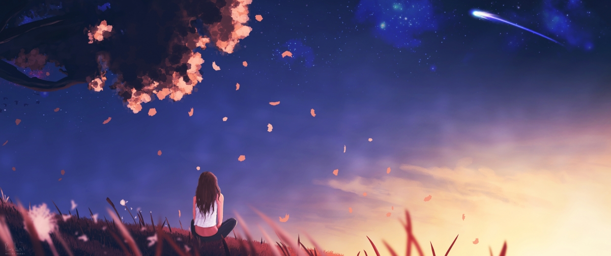 华丽范戴克的双刃剑,当个人爆发遭遇团队意志的塌陷—突尼斯冲垮塞内加尔启示录