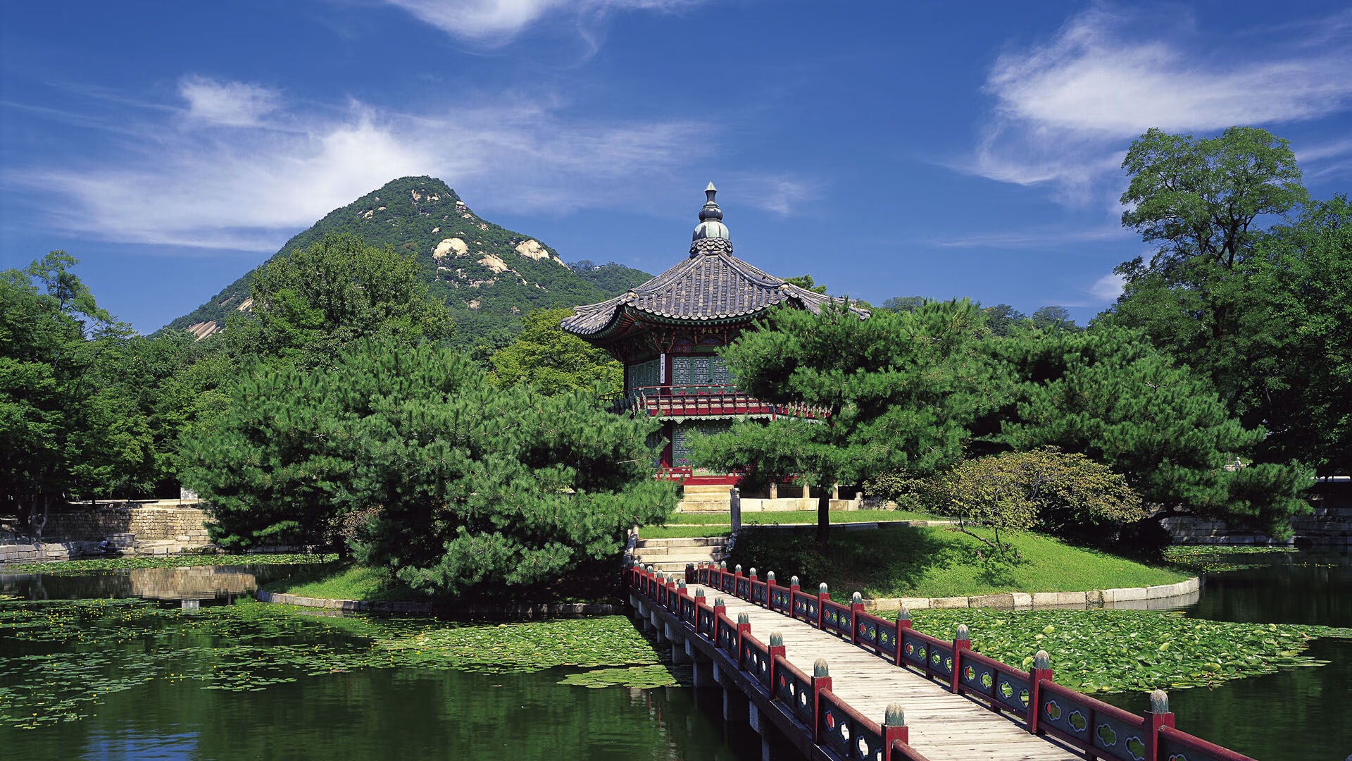 2026，一个老将统治了年轻人的世界杯之夜