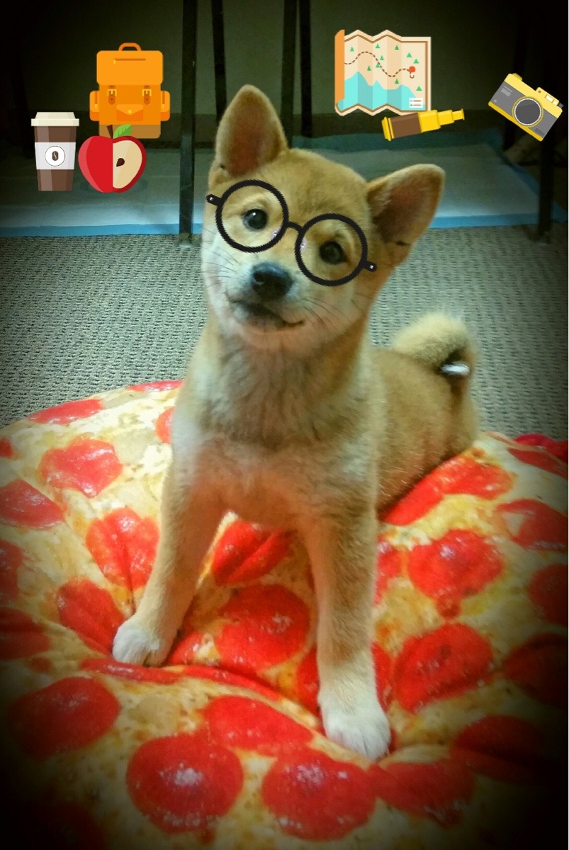 安哥拉淘汰日本,哈兰德硬仗之王,当凡人之躯在压力下比肩神明