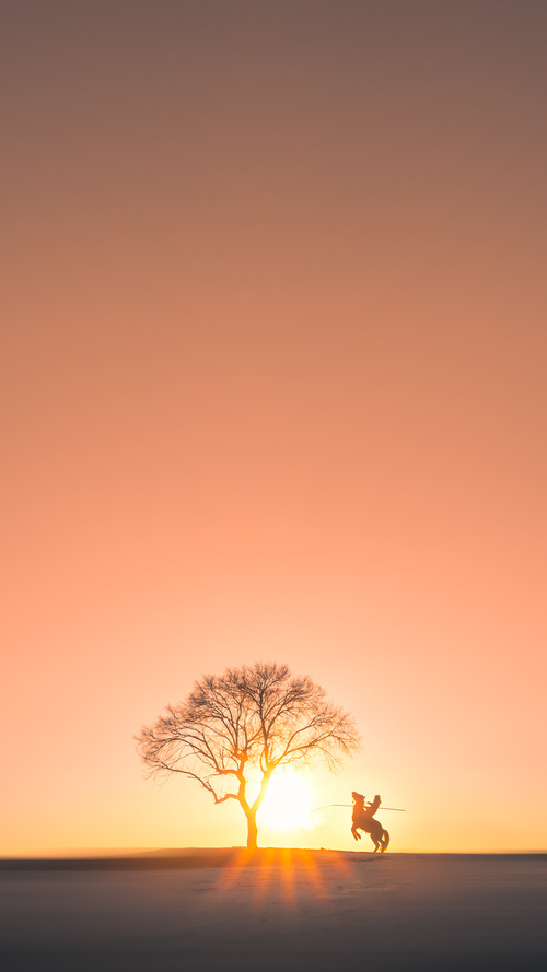 交错平行线，F1与绿茵场，同一个终极夜晚的共振