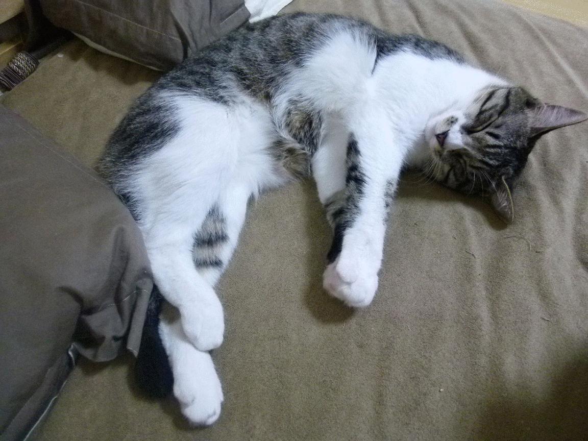 精密手术，以皇马式战术解剖哥伦比亚，佩德里梅开二度终结悬念