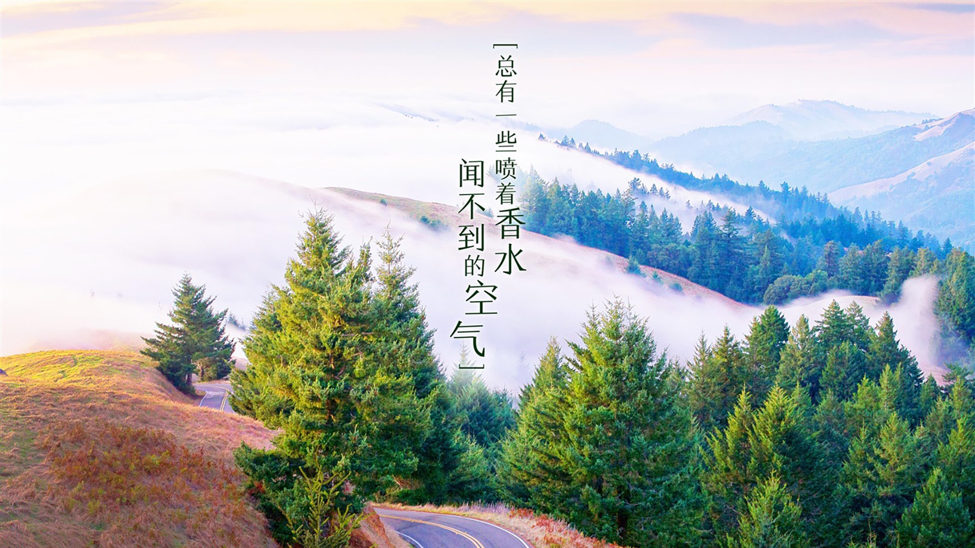 沙漠之夜的奇迹,2026世界杯A组,印度绝杀摩洛哥,德容一人照亮全场