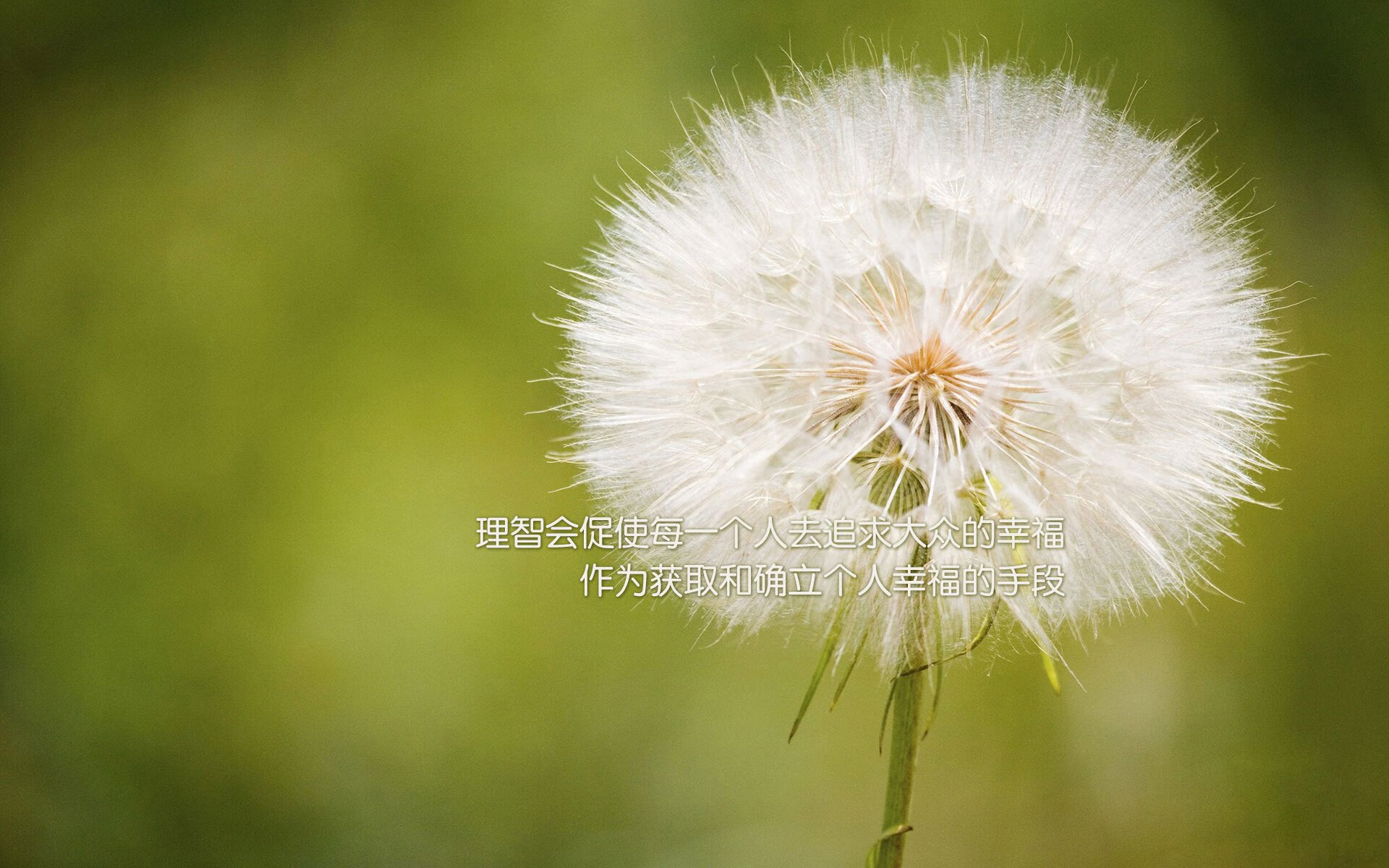 唯一性,京多安的指挥棒与日本足球的冷血基因—2026世界杯C组焦点战全景解码